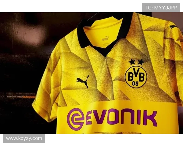 普鲁士多特蒙德俱乐部百年荣耀与青春风暴的足球传奇之路 普鲁士多特蒙德俱乐部百年荣耀与青春风暴的足球传奇之路